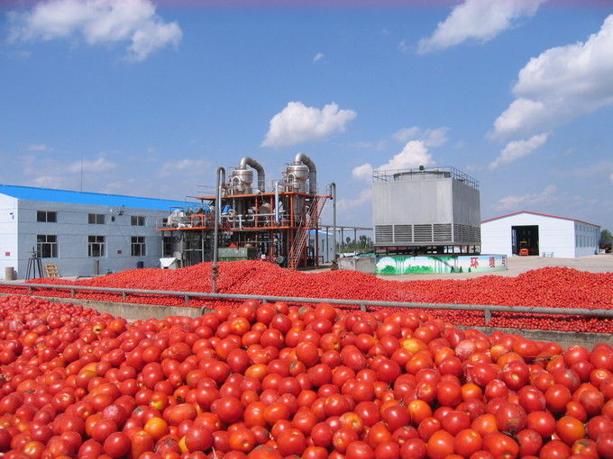 Arkhum (Tianjin) Health Technology Co., Ltd. fabrikantenproductielijn